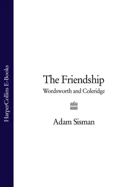 Adam Sisman The Friendship: Wordsworth and Coleridge обложка книги