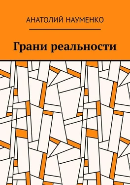 Анатолий Науменко Грани реальности обложка книги