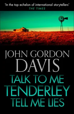 John Davis Talk to Me Tenderly, Tell Me Lies обложка книги