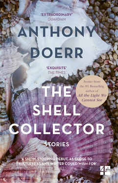 Anthony Doerr The Shell Collector обложка книги