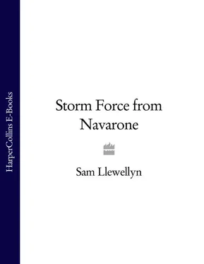 Sam Llewellyn Storm Force from Navarone обложка книги