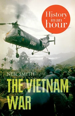 Neil Smith The Vietnam War: History in an Hour обложка книги