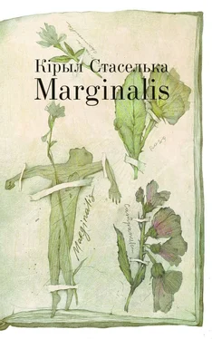 Кiрыл Стаселька Marginalis обложка книги