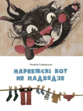 Міхайла Слабашпіцкі Нарвежскі кот не падвядзе (зборнік) обложка книги