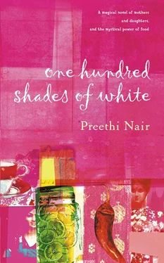 Preethi Nair One Hundred Shades of White обложка книги