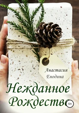 Анастасия Енодина Нежданное Рождество обложка книги