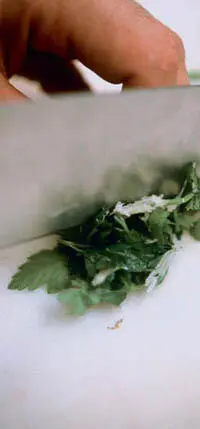 Such an Italian flavour Parsley and garlicThe mixture has such an Italian - фото 35