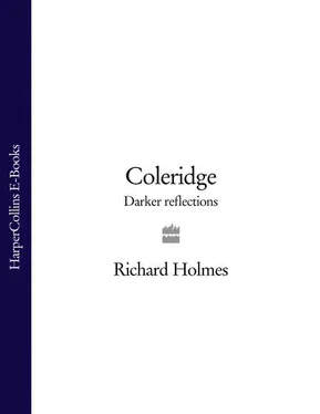 Richard Holmes Coleridge: Darker Reflections обложка книги