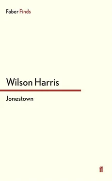 Wilson Harris Jonestown обложка книги