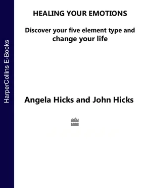 Angela Hicks Healing Your Emotions: Discover your five element type and change your life обложка книги