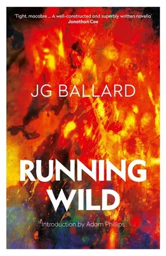 Adam Phillips Running Wild обложка книги