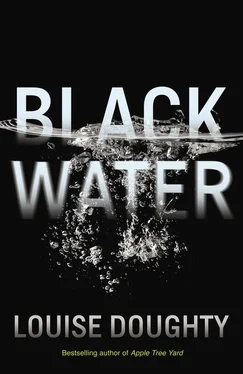 Louise Doughty Black Water обложка книги