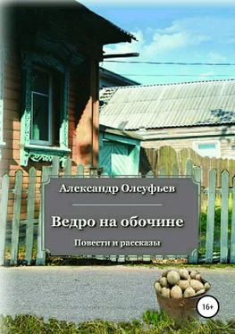 Александр Олсуфьев Ведро на обочине обложка книги