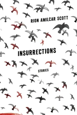 Rion Scott Insurrections обложка книги