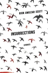Rion Scott - Insurrections