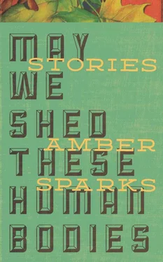 Amber Sparks May We Shed These Human Bodies обложка книги