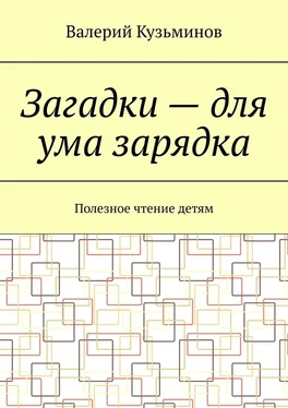 Валерий Кузьминов Загадки – для ума зарядка. Полезное чтение детям обложка книги