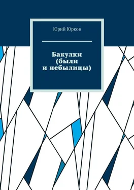 Юрий Юрков Бакулки (были и небылицы) обложка книги