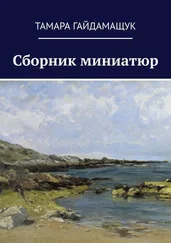 Тамара Гайдамащук - Сборник миниатюр