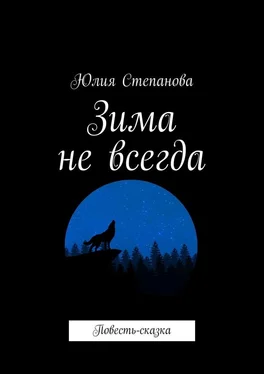 Юлия Степанова Зима не всегда. Повесть-сказка обложка книги