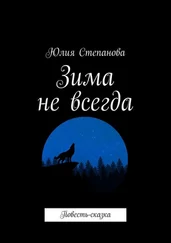 Юлия Степанова - Зима не всегда. Повесть-сказка