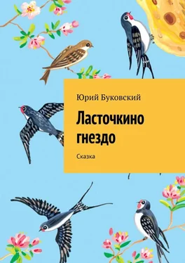 Юрий Буковский Ласточкино гнездо. Сказка обложка книги