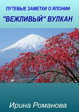 Ирина Романова «Вежливый» вулкан обложка книги