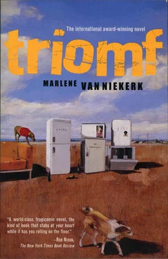 Marlene van Niekerk Triomf обложка книги