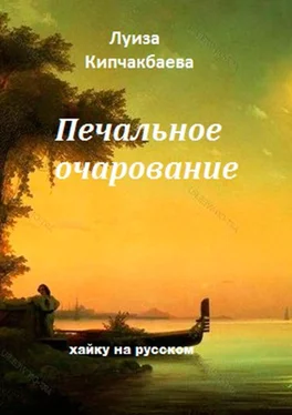 Луиза Кипчакбаева Печальное очарование обложка книги