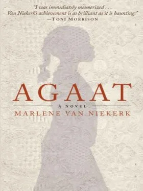 Marlene van Niekerk Agaat