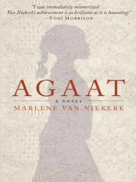 Marlene van Niekerk Agaat обложка книги