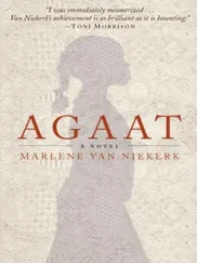 Marlene van Niekerk - Agaat