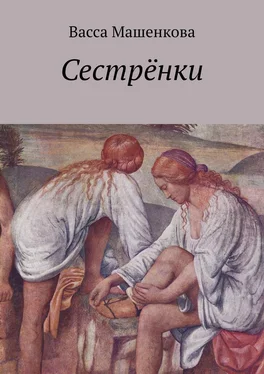 Васса Машенкова Сестрёнки обложка книги