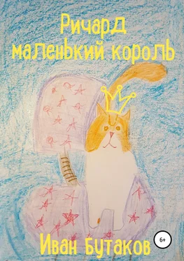 Иван Бутаков Ричард маленький король обложка книги