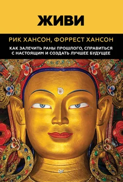 Рик Хансон Живи. Как залечить раны прошлого, справиться с настоящим и создать лучшее будущее обложка книги