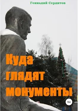 Геннадий Сердитов Куда глядят монументы обложка книги