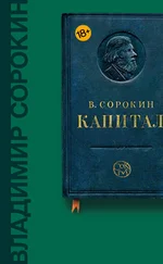 Онлайн книги автора Владимир Сорокин