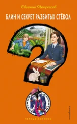 Евгений Некрасов - Блин и секрет разбитых стекол