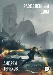 Андрей Терехов - Разделенный дом