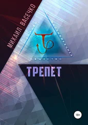 Михаил Васечко - Трепет