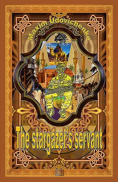 Максим Удовиченко The stargazer’s servant обложка книги