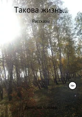 Дмитрий Чапаев - Такова жизнь…