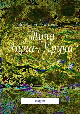 Валерий Касаткин Туча Буча-Круча. Сказка обложка книги