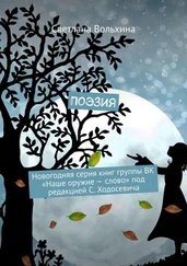 Светлана Вольхина - Поэзия. Новогодняя серия книг группы ВК «Наше оружие – слово» под редакцией С. Ходосевича