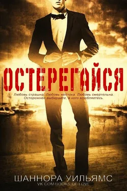 Шанора Уильямс Остерегайся обложка книги