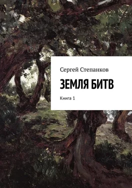 Сергей Степанков Земля битв. Книга 1 обложка книги