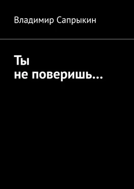 Владимир Сапрыкин Ты не поверишь… Прозаические миниатюры обложка книги