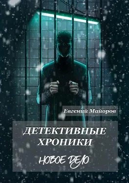 Евгений Майоров Детективные хроники. Новое дело обложка книги