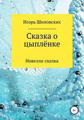 Игорь Шиповских - Сказка о цыплёнке