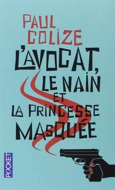 Paul Colize L'avocat, le nain et la princesse masquée обложка книги